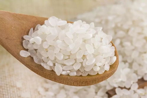 適糖米與咖啡 開啟健康生活新篇章，助力邁向無糖時代